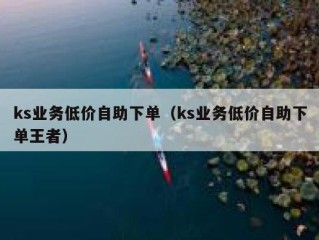 ks业务低价自助下单（ks业务低价自助下单王者）