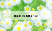 补单量（补单量是什么）