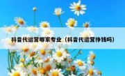 抖音代运营哪家专业（抖音代运营挣钱吗）