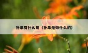 补单有什么用（补单是做什么的）