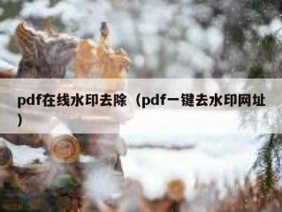 pdf在线水印去除（pdf一键去水印网址）