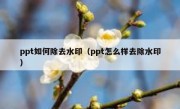 ppt如何除去水印（ppt怎么样去除水印）