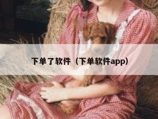 下单了软件（下单软件app）