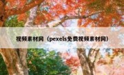 视频素材网（pexels免费视频素材网）