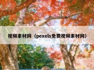 视频素材网（pexels免费视频素材网）