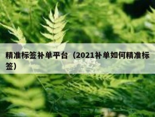 精准标签补单平台（2021补单如何精准标签）