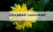 cad怎么去除水印（cad2014去水印）