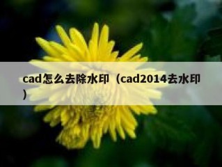 cad怎么去除水印（cad2014去水印）