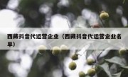 西藏抖音代运营企业（西藏抖音代运营企业名单）