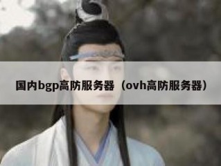 国内bgp高防服务器（ovh高防服务器）