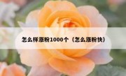 怎么样涨粉1000个（怎么涨粉快）