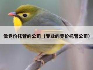 做竞价托管的公司（专业的竞价托管公司）