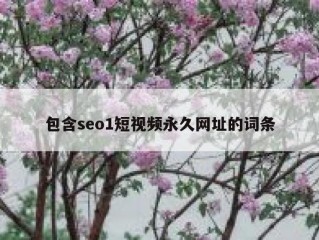 包含seo1短视频永久网址的词条