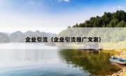 企业引流（企业引流推广文案）