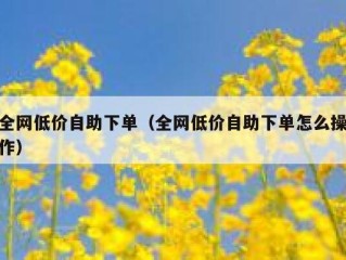 全网低价自助下单（全网低价自助下单怎么操作）