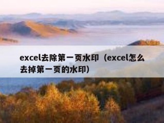 excel去除第一页水印（excel怎么去掉第一页的水印）