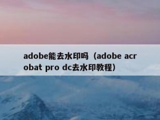 adobe能去水印吗（adobe acrobat pro dc去水印教程）