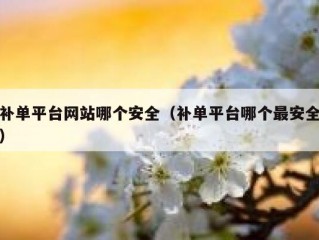 补单平台网站哪个安全（补单平台哪个最安全）