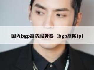 国内bgp高防服务器（bgp高防ip）