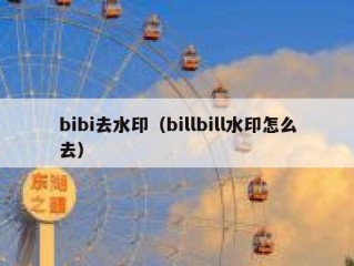 bibi去水印（billbill水印怎么去）