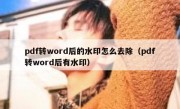 pdf转word后的水印怎么去除（pdf转word后有水印）