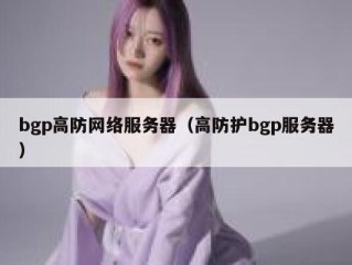 bgp高防网络服务器（高防护bgp服务器）