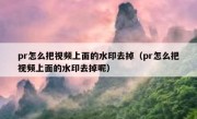 pr怎么把视频上面的水印去掉（pr怎么把视频上面的水印去掉呢）