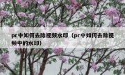 pr中如何去除视频水印（pr中如何去除视频中的水印）