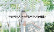 什么叫个人ip（什么叫个人ip打造）