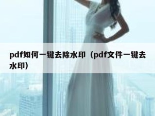 pdf如何一键去除水印（pdf文件一键去水印）