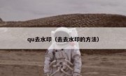 qu去水印（去去水印的方法）