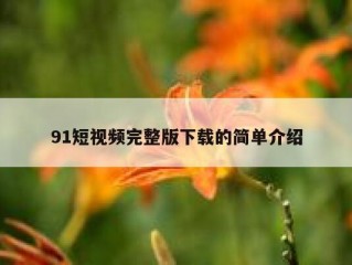 91短视频完整版下载的简单介绍