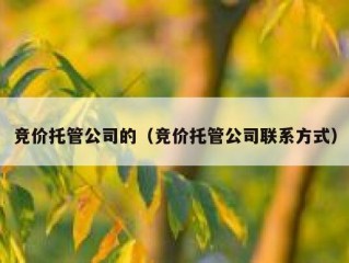 竞价托管公司的（竞价托管公司联系方式）