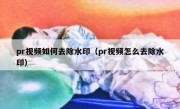 pr视频如何去除水印（pr视频怎么去除水印）