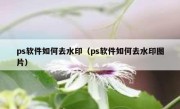 ps软件如何去水印（ps软件如何去水印图片）