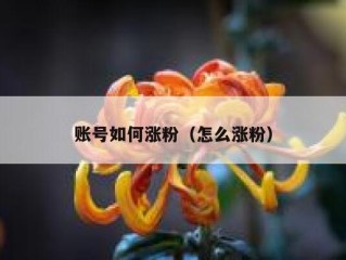 账号如何涨粉（怎么涨粉）