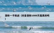 涨粉一千挑战（抖音涨粉1000万是真的吗）