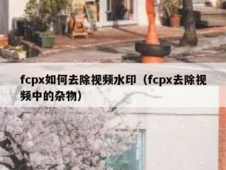 fcpx如何去除视频水印（fcpx去除视频中的杂物）