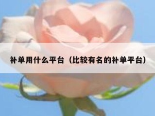 补单用什么平台（比较有名的补单平台）