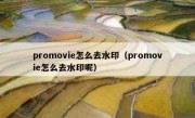 promovie怎么去水印（promovie怎么去水印呢）