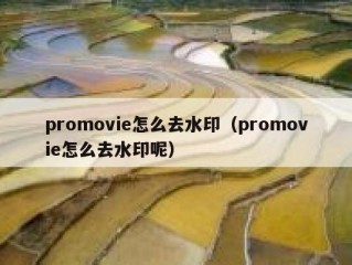 promovie怎么去水印（promovie怎么去水印呢）