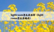 lightroom怎么去水印（lightroom怎么去噪点）