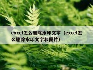 excel怎么删除水印文字（excel怎么删除水印文字和图片）