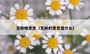 互粉啥意思（互粉的意思是什么）