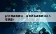 pr去除动态水印（pr怎么去动态水印且不留痕迹）