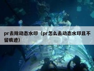 pr去除动态水印（pr怎么去动态水印且不留痕迹）