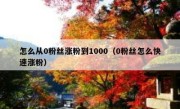 怎么从0粉丝涨粉到1000（0粉丝怎么快速涨粉）