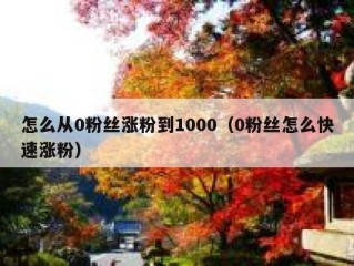 怎么从0粉丝涨粉到1000（0粉丝怎么快速涨粉）