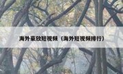 海外豪放短视频（海外短视频排行）