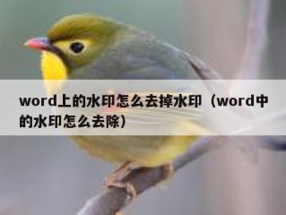 word上的水印怎么去掉水印（word中的水印怎么去除）